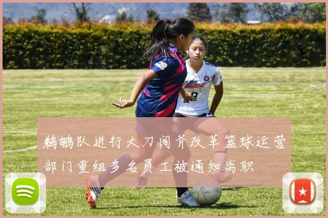 鹈鹕队进行大刀阔斧改革篮球运营部门重组多名员工被通知离职